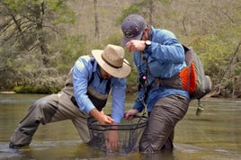 Fly Fishing Wade Trip