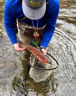 Fly Fishing Wade Trip