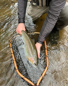 Fly Fishing Wade Trip