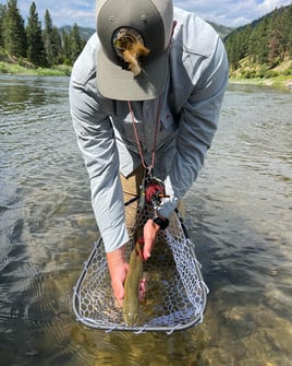 Fly Fishing Wade Trip