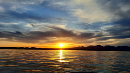 Lake Havasu Fishing Adventures: Cast, Catch, and Chill