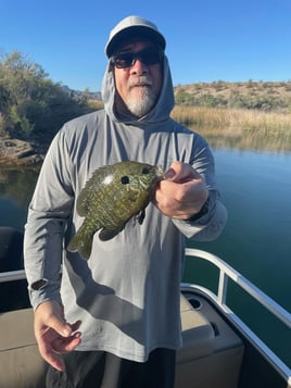 Crappie Fishing in Lake Havasu City, Arizona