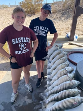 Striped Bass Fishing in Lake Havasu City, Arizona