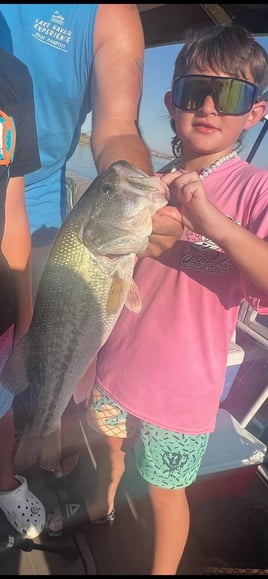 Largemouth Bass Fishing in Lake Havasu City, Arizona