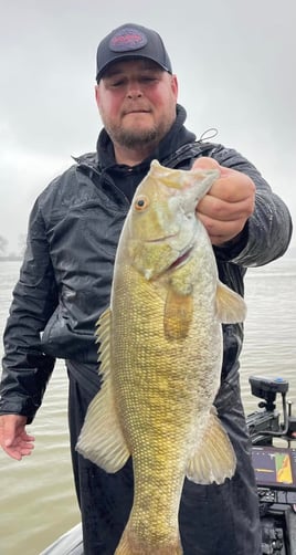 Smallmouth and Largemouth Excitement on Pickwick Lake