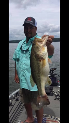 Smallmouth and Largemouth Excitement on Pickwick Lake