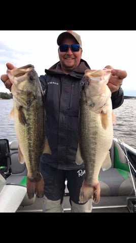 Smallmouth and Largemouth Excitement on Pickwick Lake