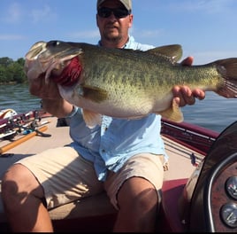 Smallmouth and Largemouth Excitement on Pickwick Lake