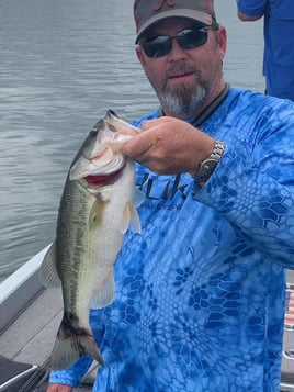 Pickwick Lake Fishing Trip