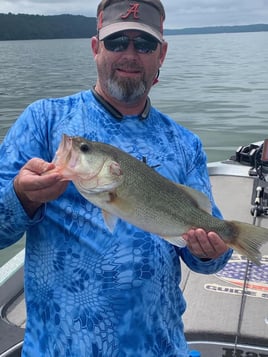 Pickwick Lake Fishing Trip