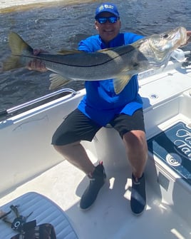 Snook Fishing in Fort Myers, Florida