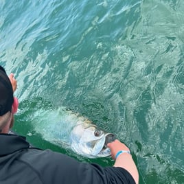 Tarpon Fishing in Fort Myers, Florida