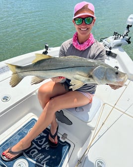 Snook Fishing in Fort Myers, Florida