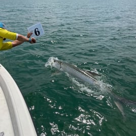 Tarpon Fishing in Fort Myers, Florida