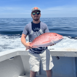 7 Hour Trip – Bottom Fishing