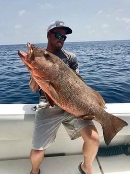 Mangrove Snapper Fishing in Key West, Florida