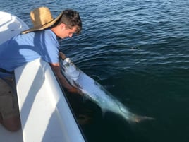 Tarpon Fishing in Key West, Florida