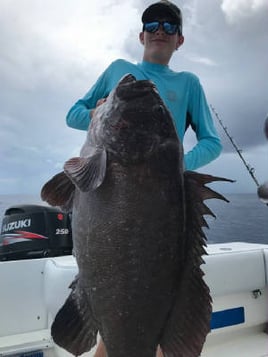 Tripletail Fishing in Key West, Florida