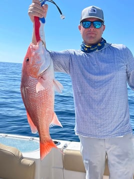 Red Snapper Fishing in Shalimar, Florida