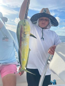 Mahi Mahi Fishing in Shalimar, Florida