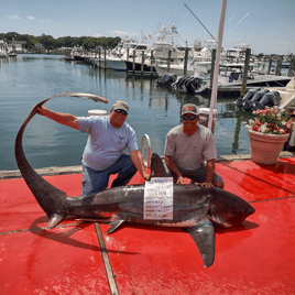 SHARK FISHING