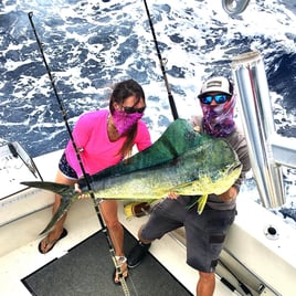 Mahi Mahi Fishing in Key West, Florida