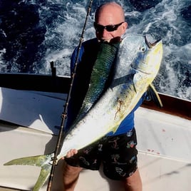 Mahi Mahi Fishing in Key West, Florida