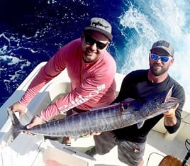 Wahoo Fishing in Key West, Florida