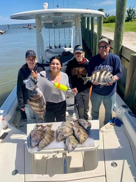 Sheepshead Fishing in Gulf Shores, Alabama