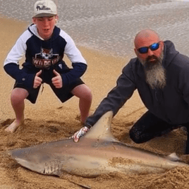 Land-Based Legends: Shark Fishing in the Capital of Bites