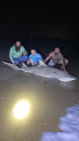 Land-Based Legends: Shark Fishing in the Capital of Bites