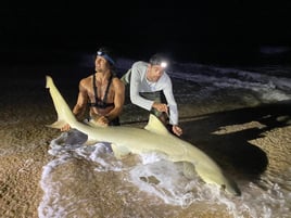 Land-Based Legends: Shark Fishing in the Capital of Bites