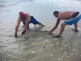 Shark Fishing Trip