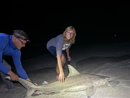 Land-Based Legends: Shark Fishing in the Capital of Bites