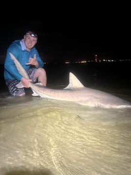 Land-Based Legends: Shark Fishing in the Capital of Bites