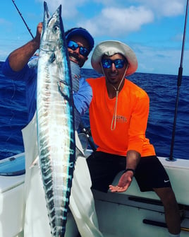 Luxury Offshore Trolling, Kite Fishing, and Bottom Fishing