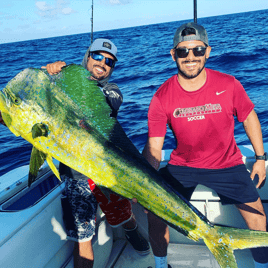 Luxury Offshore Trolling, Kite Fishing, and Bottom Fishing