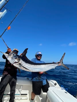 Luxury Offshore Trolling, Kite Fishing, and Bottom Fishing