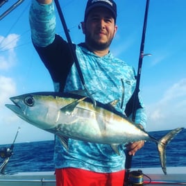 Luxury Offshore Trolling, Kite Fishing, and Bottom Fishing