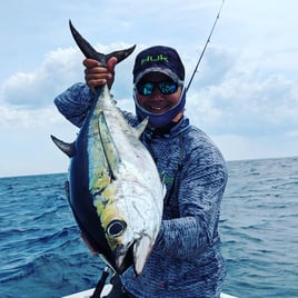 Luxury Offshore Trolling, Kite Fishing, and Bottom Fishing