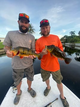 Peacock Bass Fishing in West Palm Beach, Florida