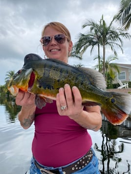 Peacock Bass Fishing in West Palm Beach, Florida