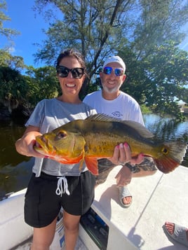 Peacock Bass Fishing in West Palm Beach, Florida