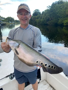 Clown Knifefish Fishing in West Palm Beach, Florida