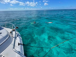 Lobstering & Snorkeling Adventure in Key West, FL