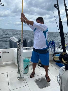 Barracuda Fishing in Pompano Beach, Florida