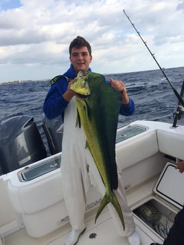 Mahi Mahi Fishing in Pompano Beach, Florida