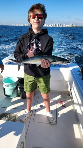 Cero Mackerel Fishing in Pompano Beach, Florida