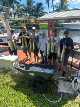 Mahi Mahi Fishing in Pompano Beach, Florida