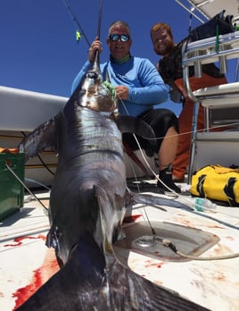 Swordfish Fishing in Pompano Beach, Florida